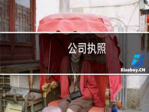 公司执照