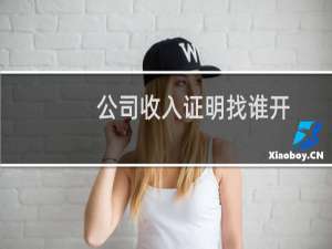 公司收入证明找谁开
