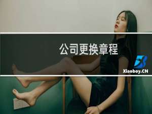 公司更换章程