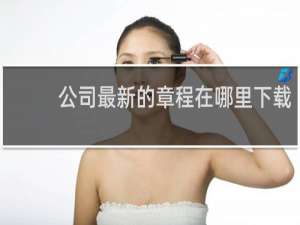 公司最新的章程在哪里下载