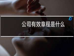 公司有效章程是什么