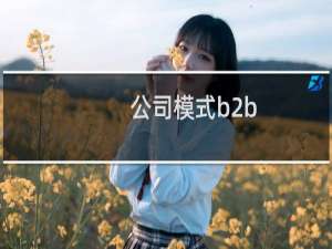 公司模式b2b