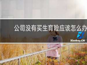 公司没有买生育险应该怎么办