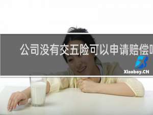 公司没有交五险可以申请赔偿吗