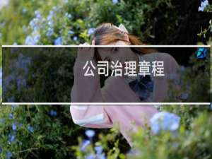 公司治理章程