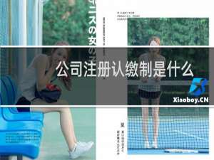 公司注册认缴制是什么