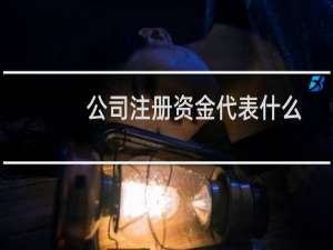 公司注册资金代表什么