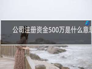 公司注册资金500万是什么意思
