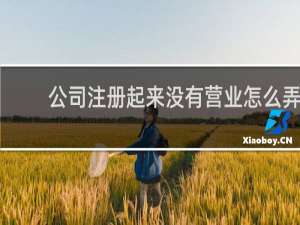 公司注册起来没有营业怎么弄
