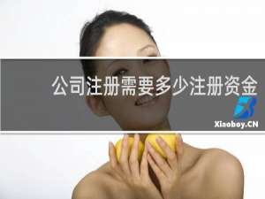 公司注册需要多少注册资金