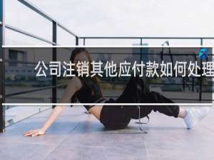 公司注销其他应付款如何处理