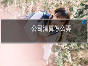 公司清算怎么弄