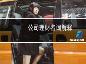 公司理财名词解释