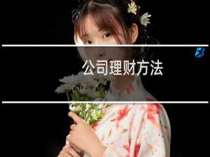 公司理财方法