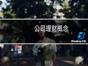 公司理财概念