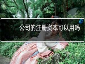公司的注册资本可以用吗