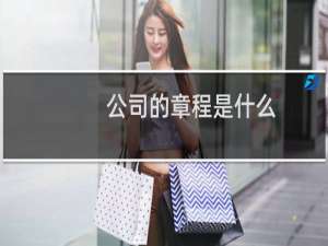公司的章程是什么