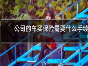 公司的车买保险需要什么手续