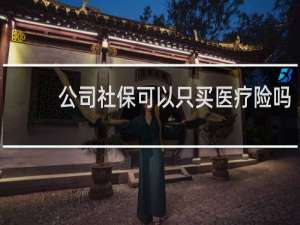 公司社保可以只买医疗险吗