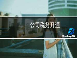 公司税务开通