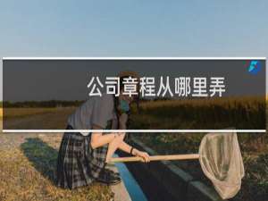 公司章程从哪里弄