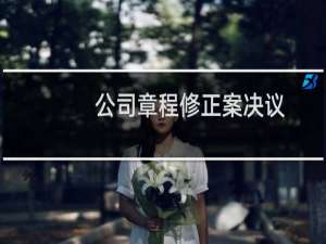 公司章程修正案决议