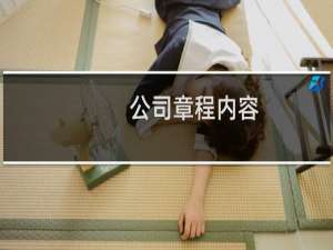 公司章程内容