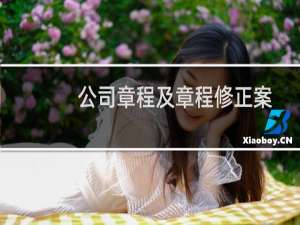 公司章程及章程修正案
