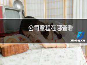 公司章程在哪查看