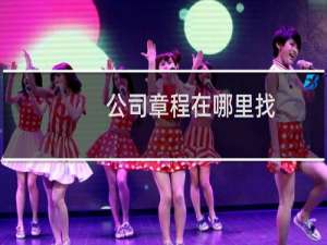 公司章程在哪里找