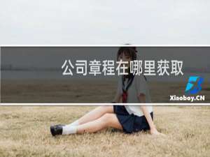 公司章程在哪里获取