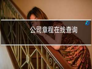 公司章程在线查询