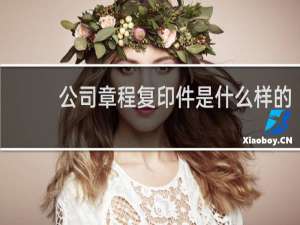 公司章程复印件是什么样的