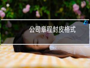 公司章程封皮格式