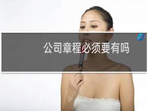 公司章程必须要有吗