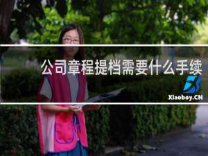 公司章程提档需要什么手续