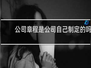 公司章程是公司自己制定的吗