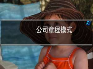 公司章程模式