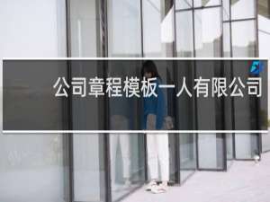 公司章程模板一人有限公司
