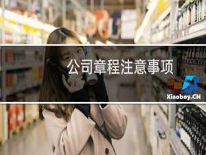 公司章程注意事项