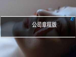 公司章程版