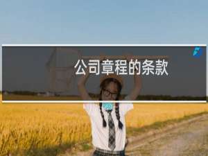 公司章程的条款
