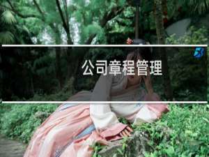 公司章程管理