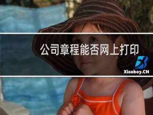公司章程能否网上打印