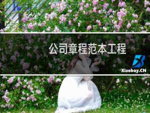 公司章程范本工程