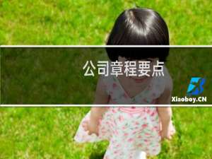 公司章程要点