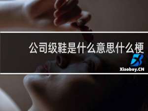 公司级鞋是什么意思什么梗
