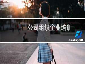 公司组织企业培训