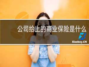 公司给上的商业保险是什么