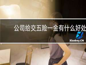 公司给交五险一金有什么好处